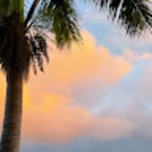 Meet your Posher, Sophie